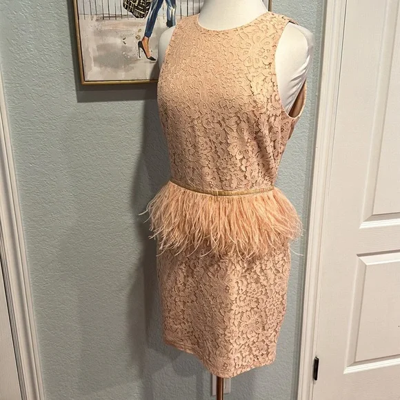 Revolve • Endless Rose Lace Feather Peplum Dress in Nude Pink • Sz L - Picture 5 of 10